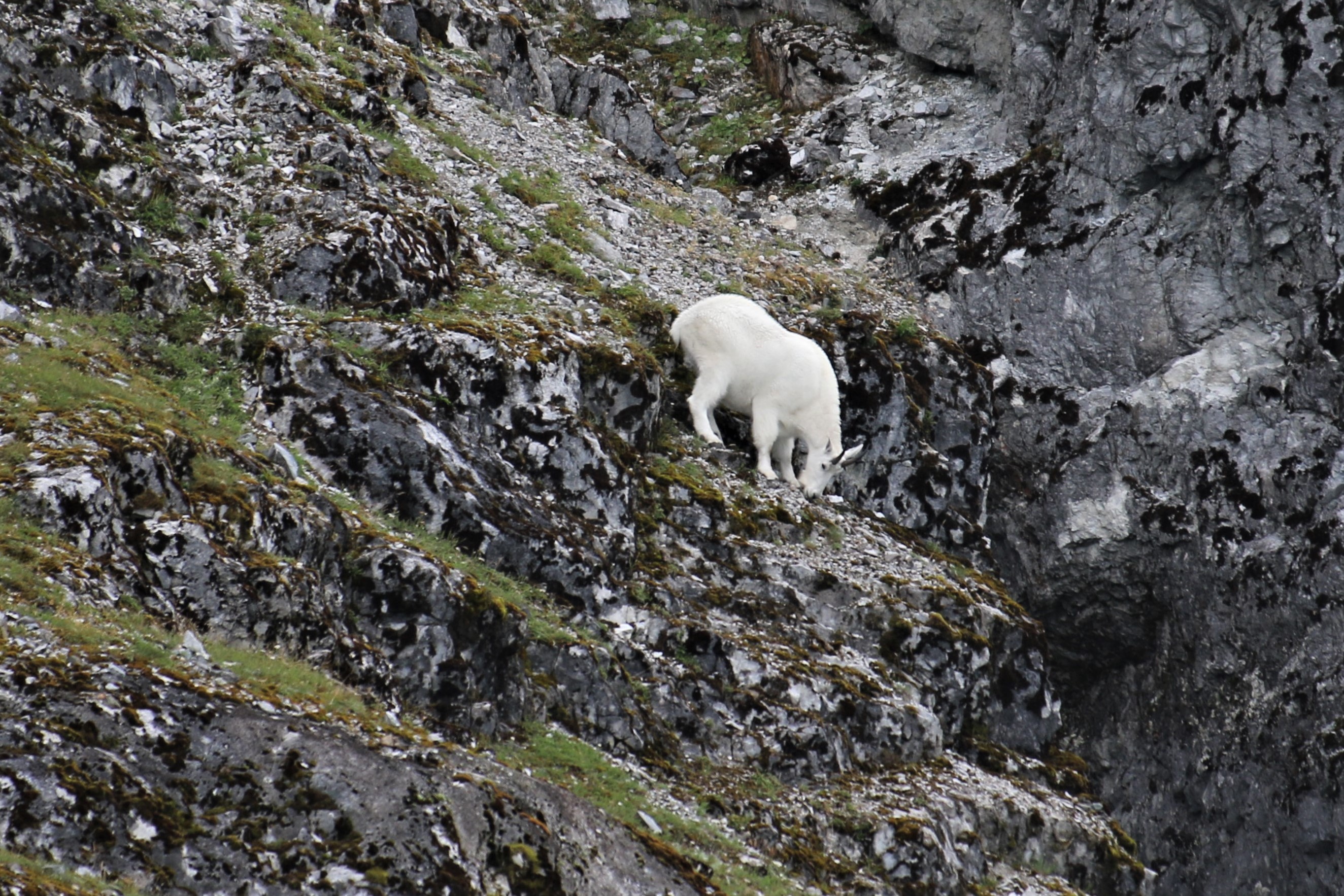Alaska